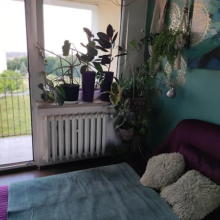 U Magdy вітальня Guest In Flat