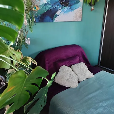 Accommodatie bij particulieren U Magdy In Flat *