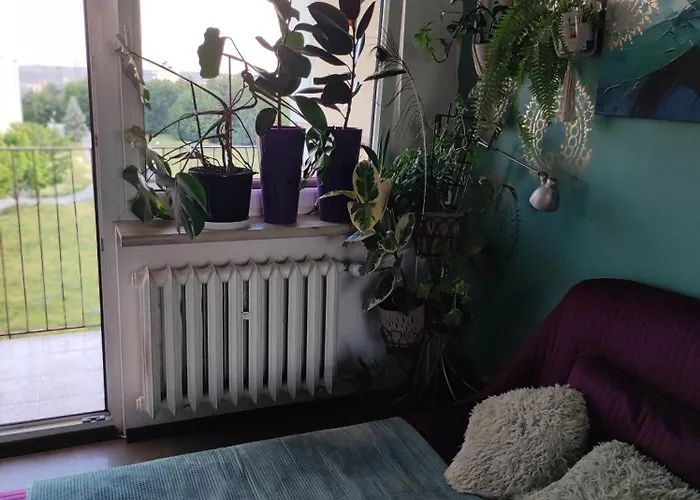 U Magdy вітальня Guest In Flat