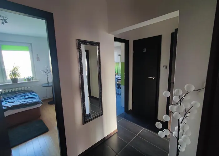 U Magdy вітальня Guest In Flat * גדינייה